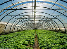 �ǻ۴���ϵͳ